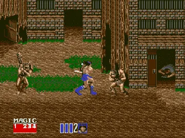 Golden Axe II (World) (Beta) screen shot game playing